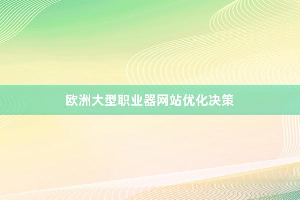 欧洲大型职业器网站优化决策