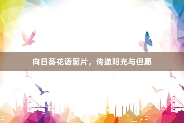 向日葵花语图片，传递阳光与但愿